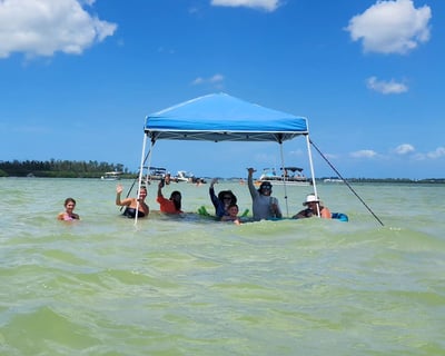 Cruise Sarasota Sandbars & Dolphin Watching
