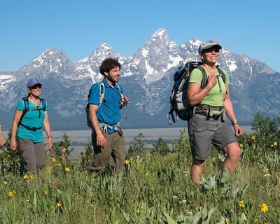 Guided 4-Hour Nature Hike in Jackson Hole