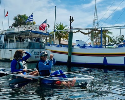 Tarpon Springs Manatee & Dolphin Kayak Tour