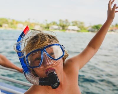 Mauna Kea One-Stop Sealife Snorkel