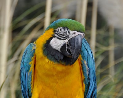 1.5-Hour Animal Presentation & Guided Tour in Prescott