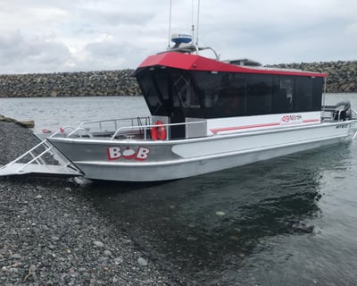 Kachemak Bay Wildlife Cruise From Homer