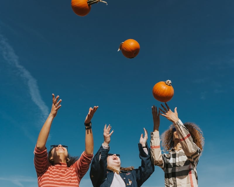 Corn Maze & Hayride Group Outing in Waukegan
