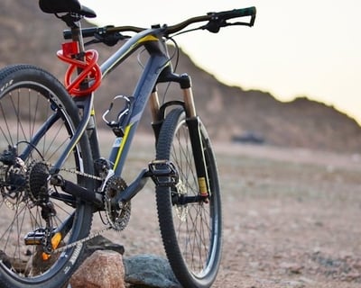 Mountain Bike Rental in Manistee