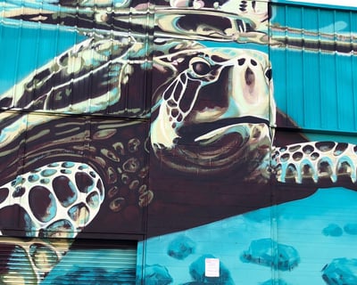 Honolulu Food & Street Art Walking Tour