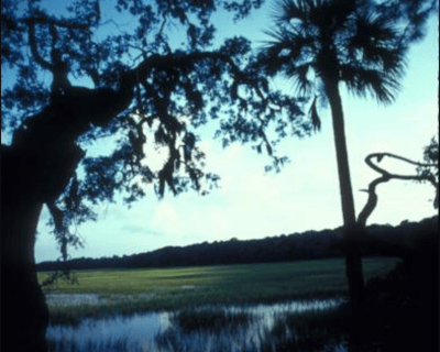 Explore Savannah Dark History Walking Tour