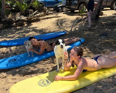 Beginner Group Surf Lesson in Rincón