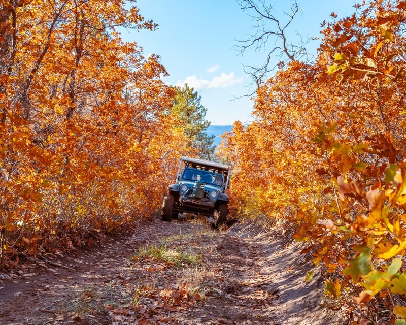 Fall Colors Off-Road Jeep Tour Near Zion National Park