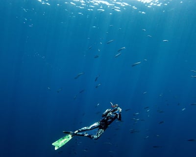 6-Hour Freediving Charter to Coronado Islands