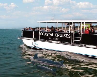 Dolphin Watching & Shelling Cruise From Gulfport