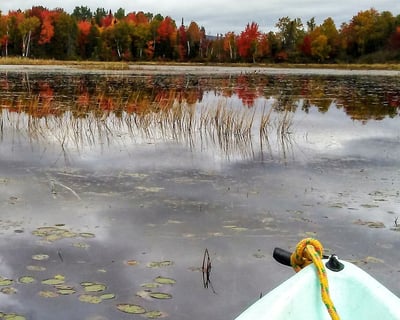 Full-Day Canoe & Kayak Tour in Freedom
