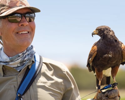 Handle & Fly Raptors with Expert Falconer at Terranea