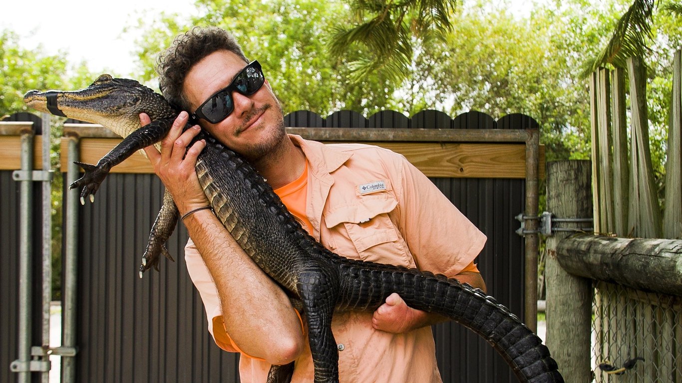 Up-Close Alligator Encounter at Everglades Farm