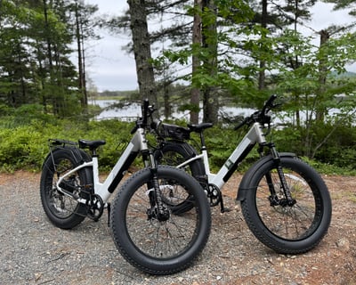 Step-Thru E-Bike Rental with Delivery