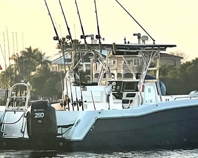 Offshore Fishing Charter in Port Richey