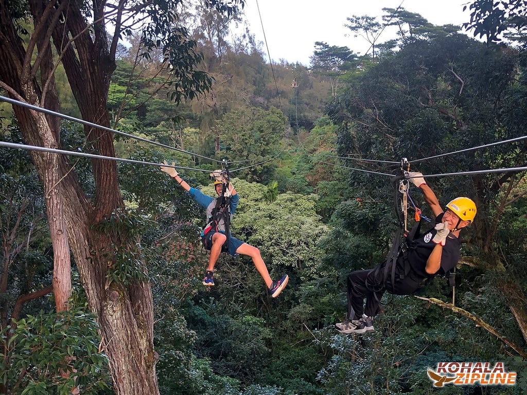 Kohala Canopy Zipline Adventure