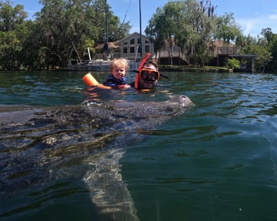 Private Manatee Snorkeling Tour in Crystal River
