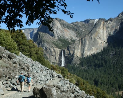 3-5 Mile Naturalist Hike in Yosemite Valley