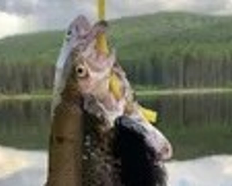 Private Lake-Hopping Fishing Tour in Metaline Falls