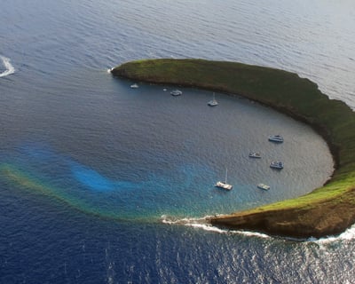 Molokini Backwall and Second Site Advanced Dive