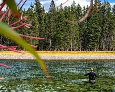 Yellowstone Fly Fishing: Full Day Guided Trip