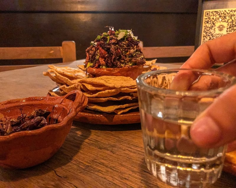 Mexico City Tacos & Mezcal Tasting Tour