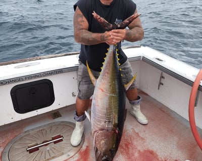 Offshore Tuna Charter in Newport
