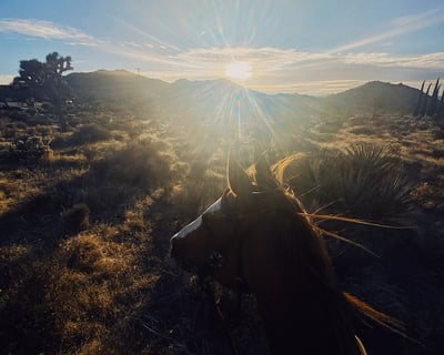 Black Rock Canyon Loop Horseback Ride