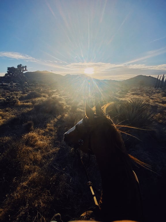 Black Rock Canyon Loop Horseback Ride