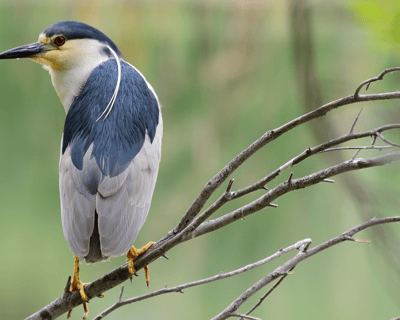 NYC Sunset Cruise to Abandoned Islands