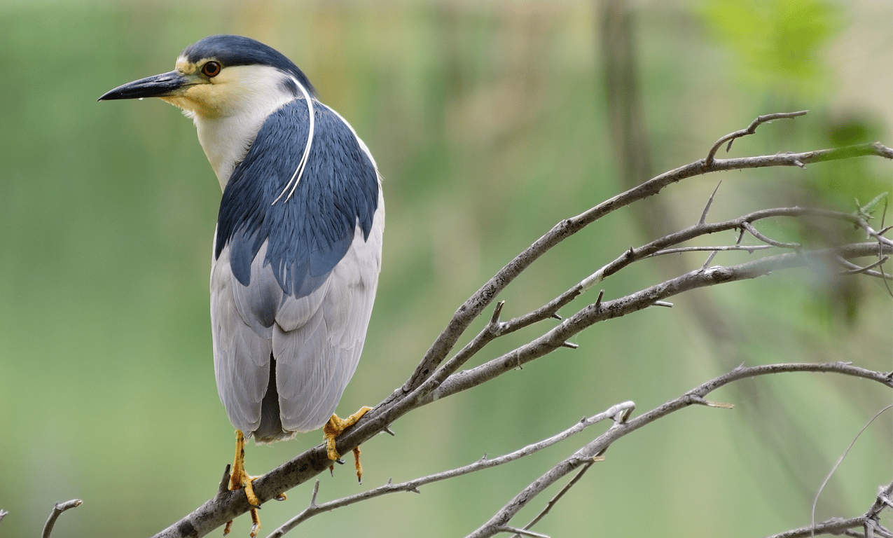 NYC Sunset Cruise to Abandoned Islands