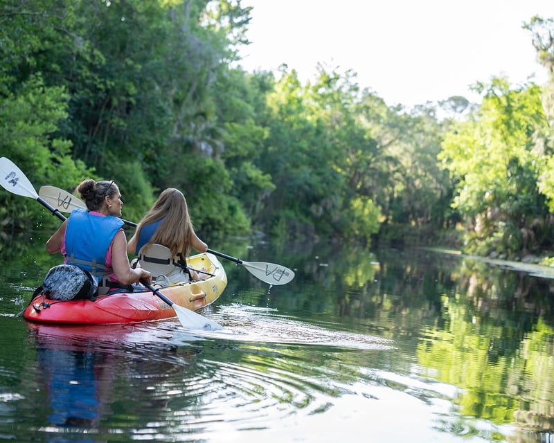 Guided River Paddle at Ichetucknee Springs State Park