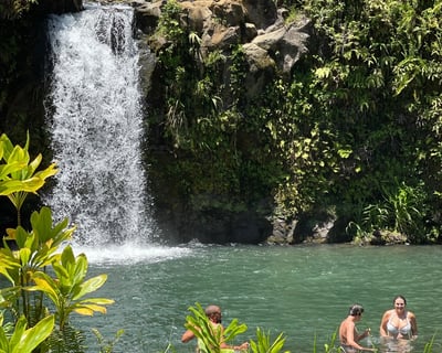 Road to Hana Cruise Ship Day Trip