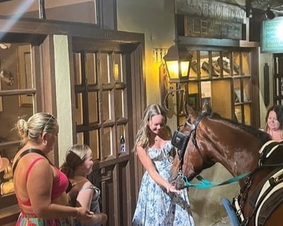 Horse-Drawn Carriage Ghost Tour
