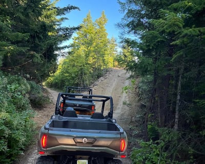 4-Hour UTV Rental in Cle Elum