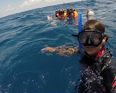 Snorkeling Tour to Contoy Island From Isla Mujeres