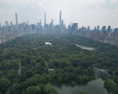Ride a Horse-Drawn Carriage Through Central Park