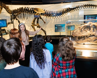Creation Museum Guided Tour