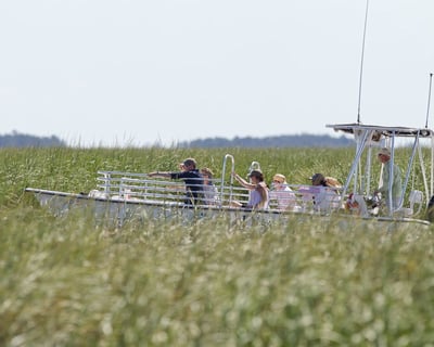 Hilton Head Dolphin & Wildlife Boat Tour