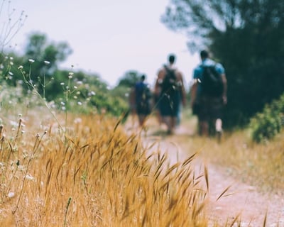 Boone Guided Nature Hike with Ecology Education