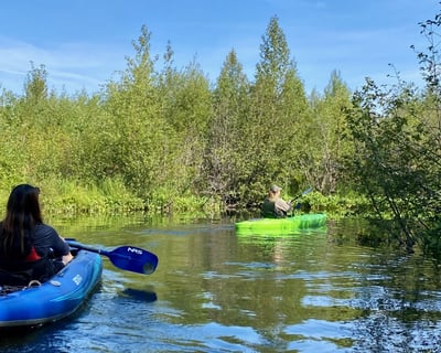 3-Hour Guided Kayak & SUP Tour at Cottonwood Lake