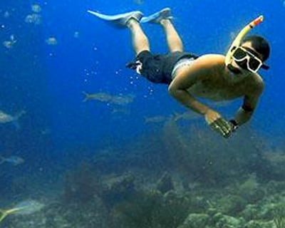 Snorkeling Tour in Rincón