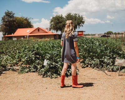 Pick-Your-Own Farm Park Admission in Dewey
