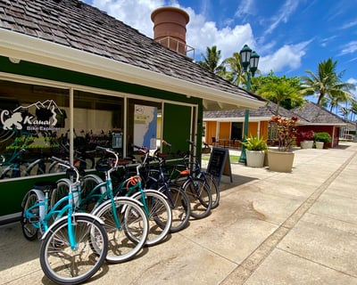 2.5-Hour Bike Rental in Kapa'a