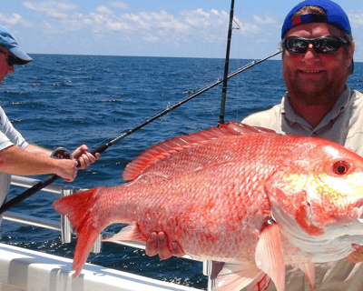 6-Hour Fishing Trip in Orange Beach