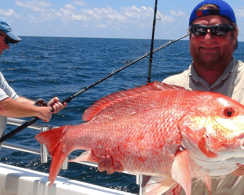 6-Hour Fishing Trip in Orange Beach