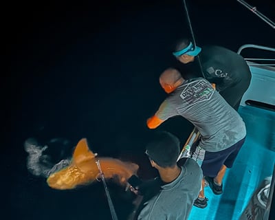 Night Fishing Cruise in Islamorada