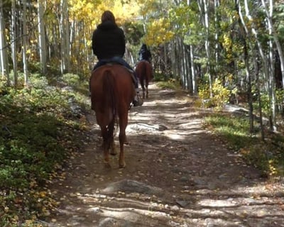1-Hour Horseback Ride in Central City