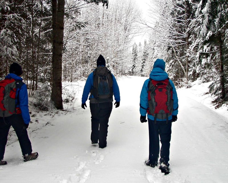 Guided Snowshoe & Hike Adventure in New Hampshire