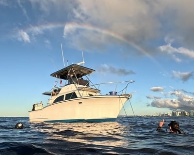 Private Waikiki Sailing with Snorkeling & Diving